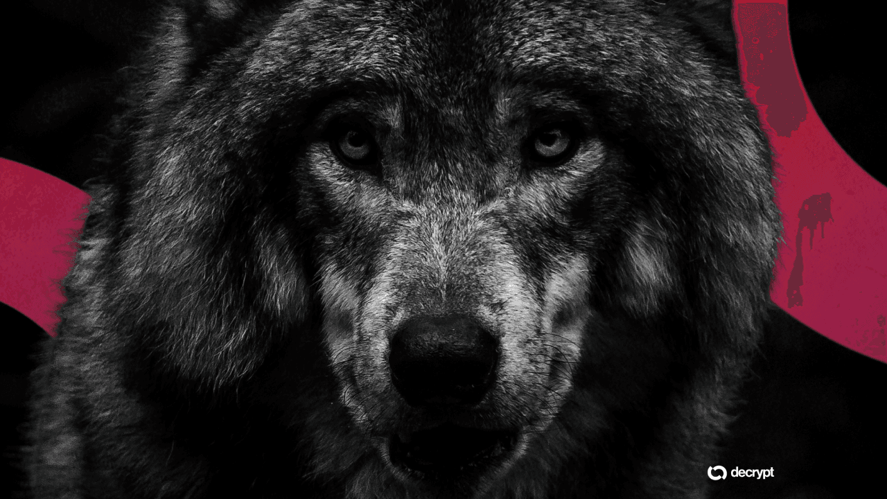 South Korea Arrests Man for a Fake AI Wolf Photo That Raised Alarms