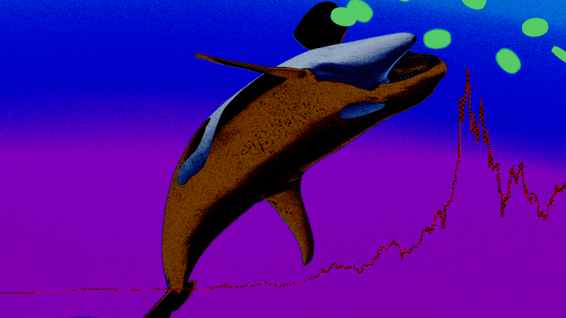 Bitcoin whales on Hyperliquid push net long positions to 2026 high