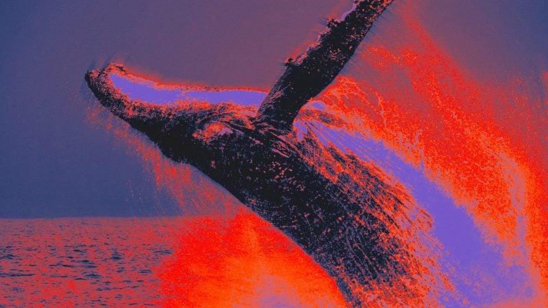 Ethereum ICO whale moves $23 million in ETH after 10-year dormancy