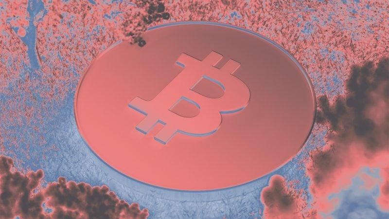 Strive acquires 789 BTC, bumping ninth-largest corporate bitcoin treasury over 14,000 BTC